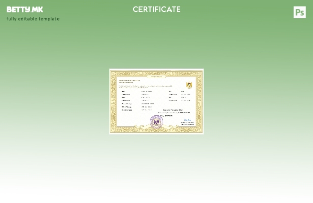 Модерен стил шаблон за брачен лист од државата Палестина